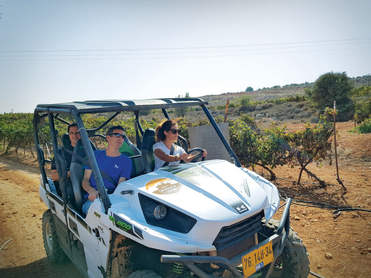 ריינג'רים בשילה. צילום: אלי פכטר