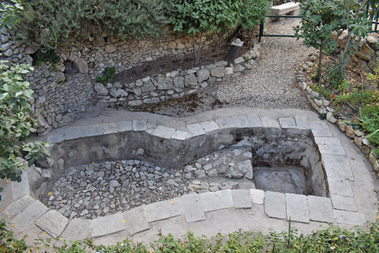 גן הקבר. צילום: מיטל שרעבי