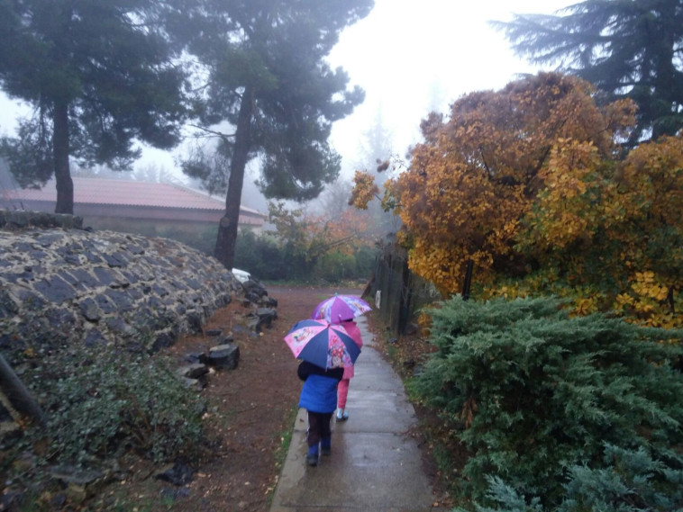 גשמים באלרום. צילום: אלה שלומקוביץ 