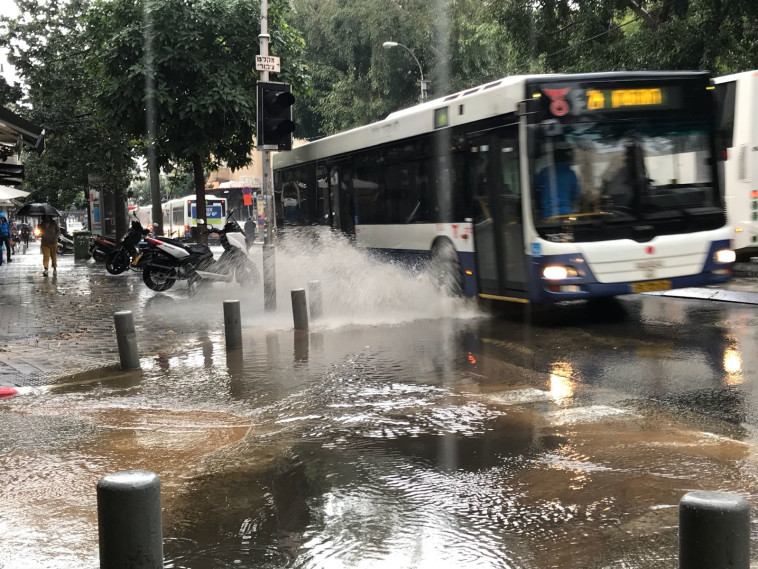 הגשם בדרך לחזור. צילום: אבשלום ששוני
