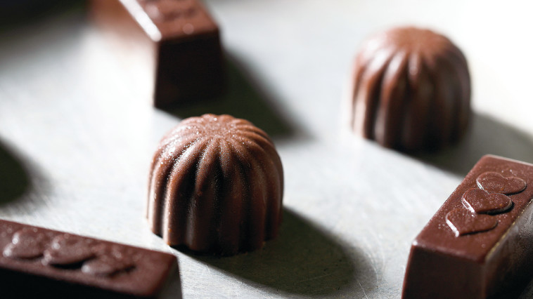 גם מגניב וגם חשוב. צילום: כפיר זיו