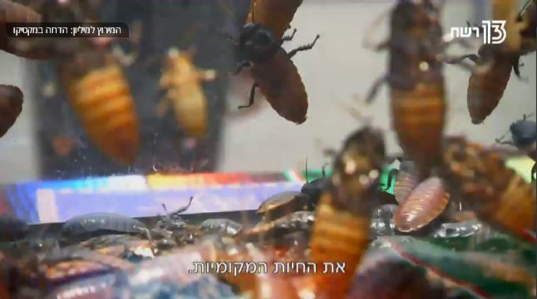 המירוץ למיליון. צילום מסך 