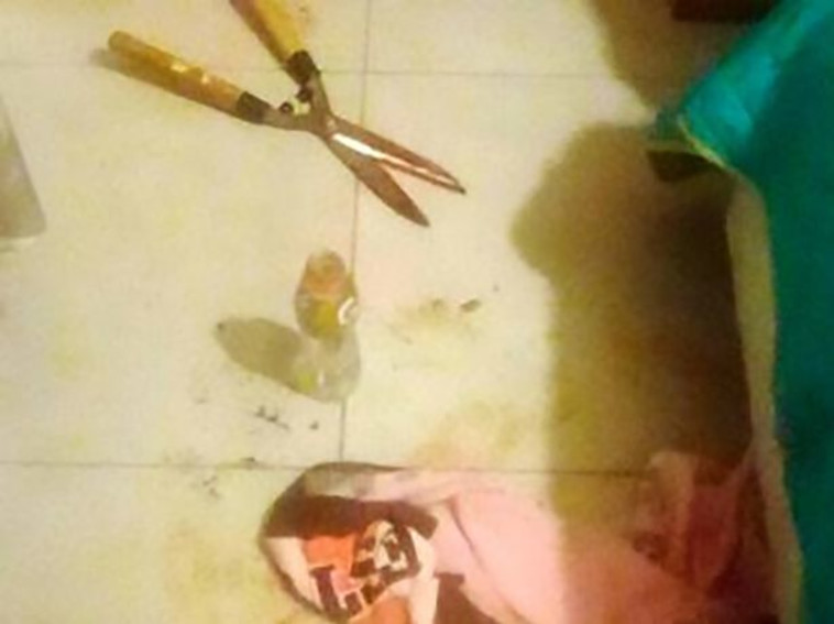 המזמרה ששימשה לקטיעת איבר המין. צילום: CEN