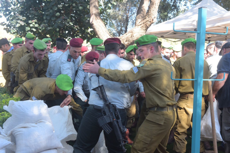 צילום: אבשלום ששוני