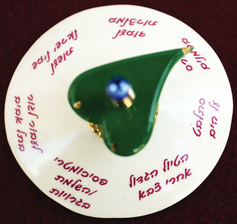 סביבונים. צלם : אריאל בשור 