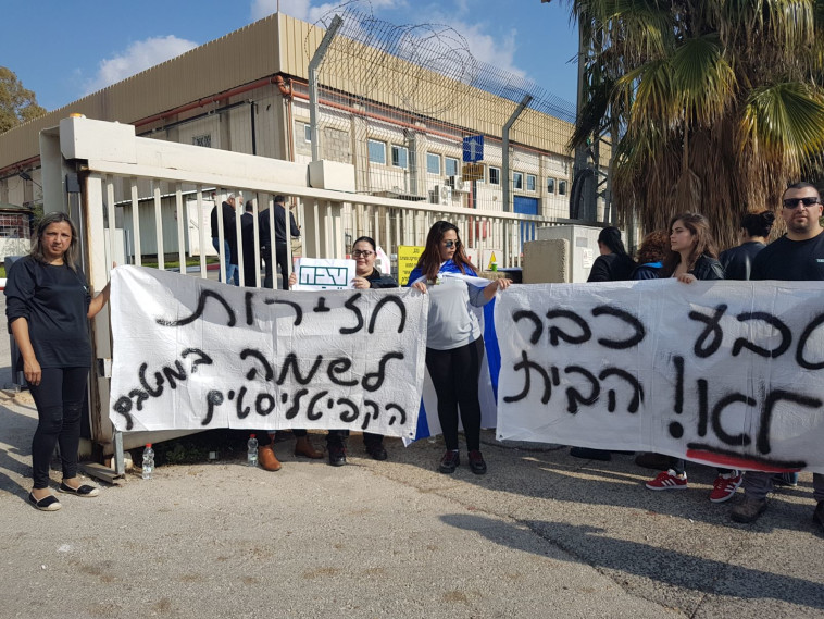 צילום: מאיר וקנין