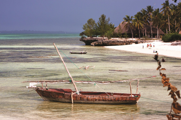 נופים עוצרי נשימה. זנזיבר. צילום: אניג אימג'