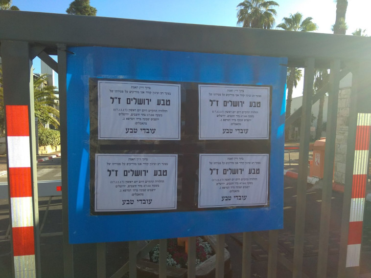 צילום: נדב הרשקוביץ