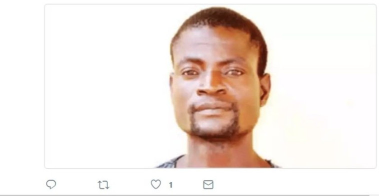 באמאי טאנקו. צילום מסך