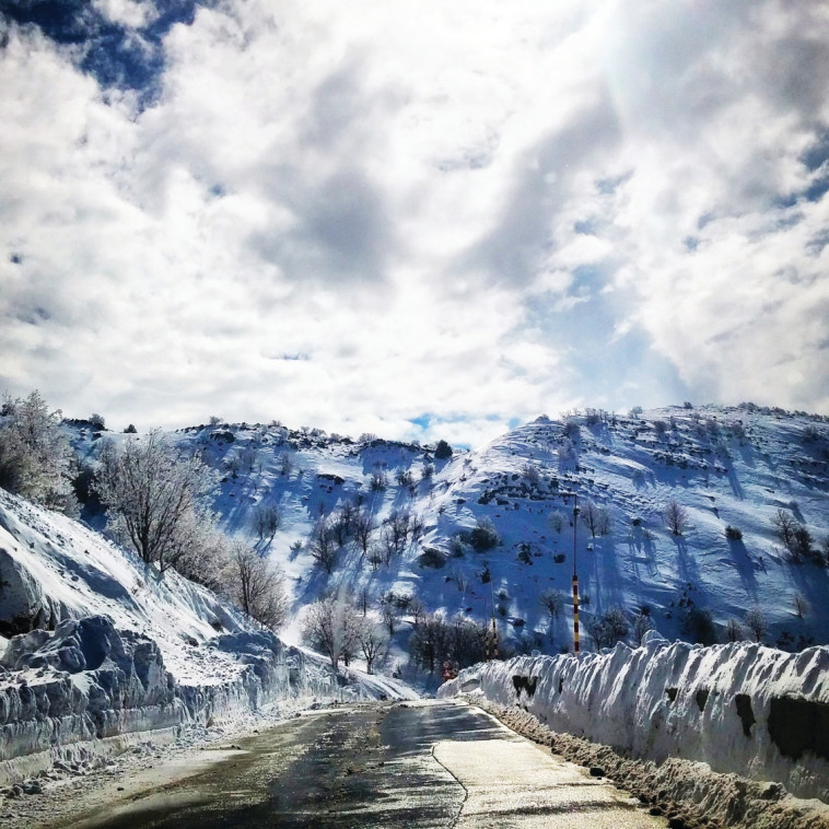 רובי המרשלג 