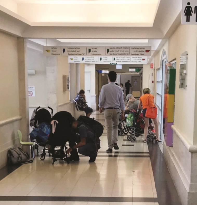 בית החולים שניידר