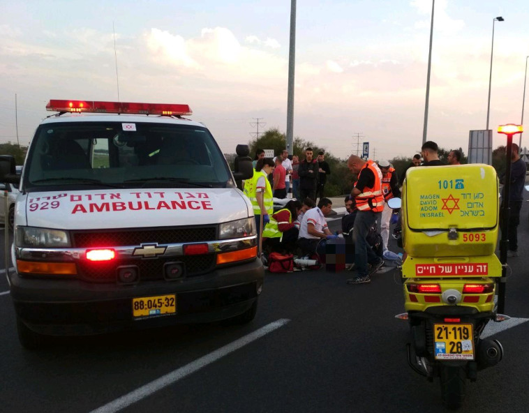 תאונת הדרכים בכביש 4. צילום: דוברות מד&quot;א