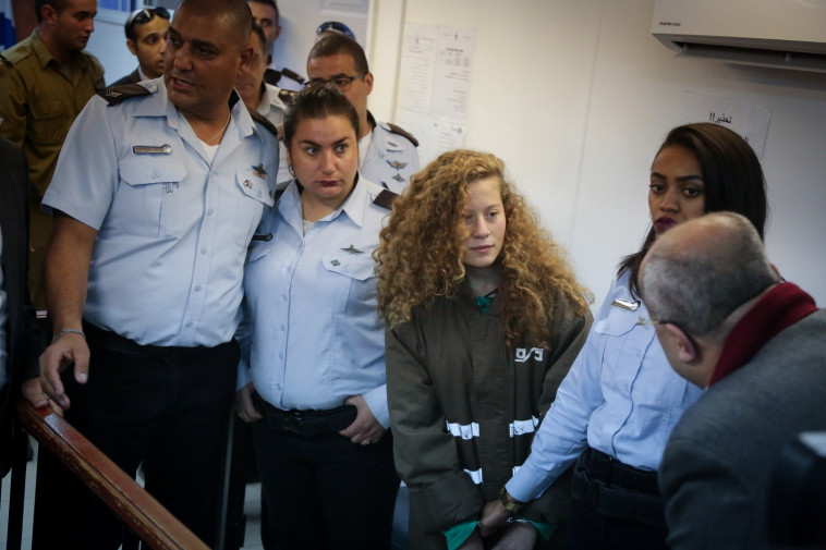 &quot;פוטנציאל למסוכנות&quot;. תמימי. צילום: פלאש 90 