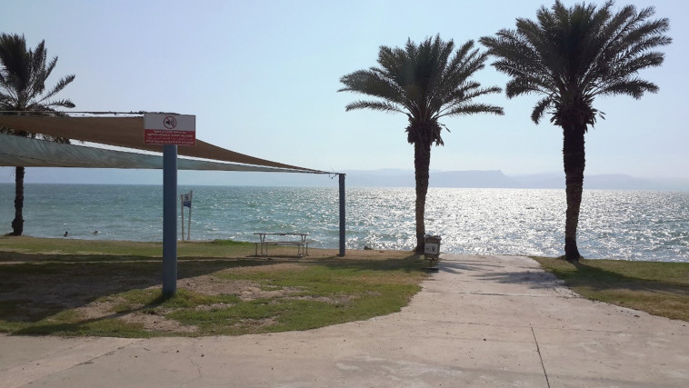 חוף חלוקים. צילום: רשות הכנרת