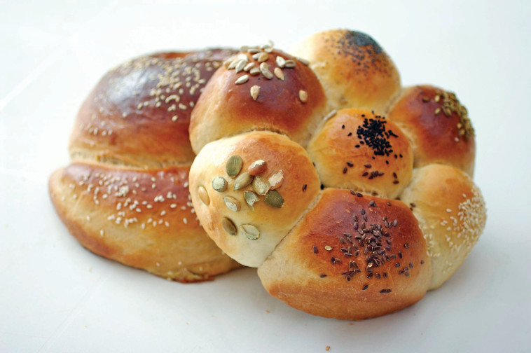 חלת לחמניות מחוברות. צילום: פסקל פרץ-רובין חלת לחמניות מחוברות. צילום: פסקל פרץ-רובין