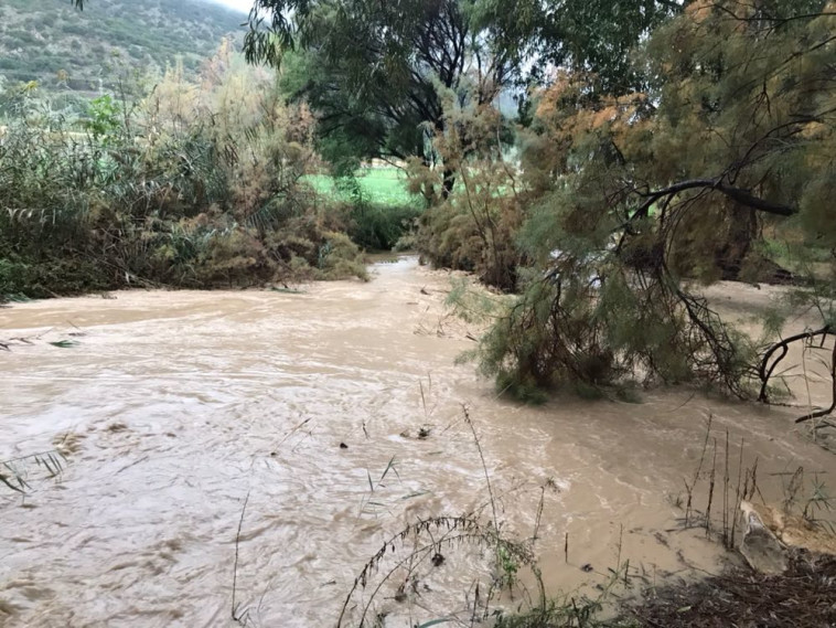 זרימה בנחל הקישון. צילום: יוסי סורג'ון, רשות נחל הקישון