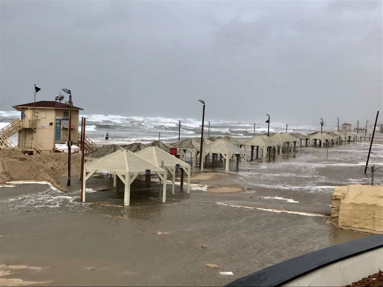 חוף הים בתל אביב. צילום: אבשלום ששוני