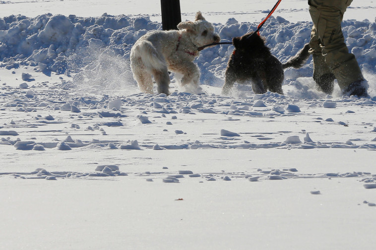 מזג אוויר חריג בארצות הברית. צילום: רויטרס