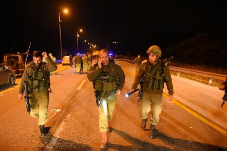 הסריקות לאיתור המחבלים. צילום: דובר צה"ל הסריקות לאיתור המחבלים. צילום: דובר צה"ל