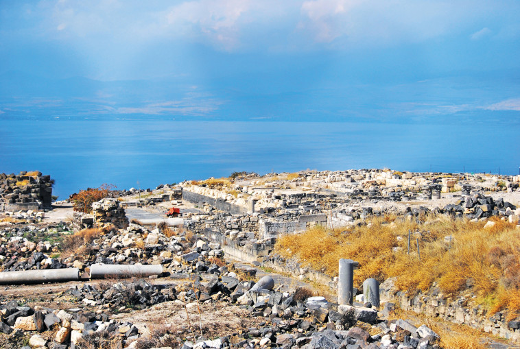 סוסיתא. צילום: מיטל שרעבי
