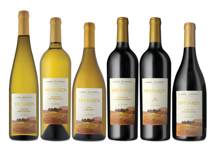 צילום: יח&quot;צ