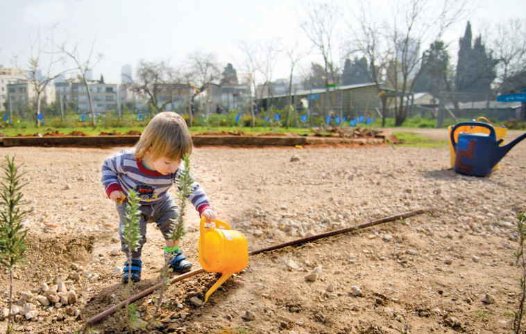החווה בתל אביב. צילום: שיר כהן