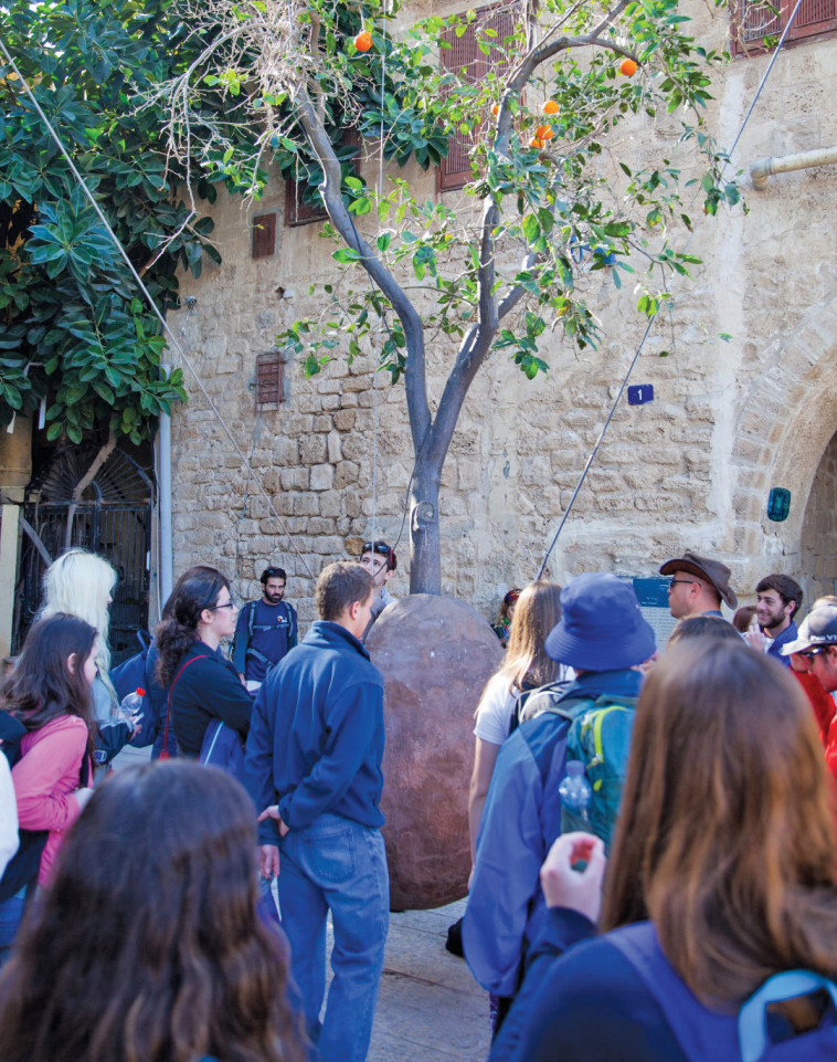 סיור ביפו. צילום: אביתר דיין