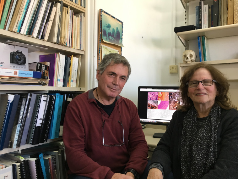 פרופ' הרשקוביץ ופרופ' מינה וינשטיין עברון. צילום: דוברות אוניברסיטת תל אביב 