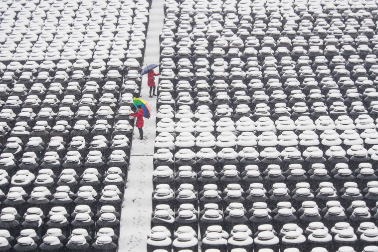 מפעל לג'ינג'ר וסויה בסין. צילום: רויטרס