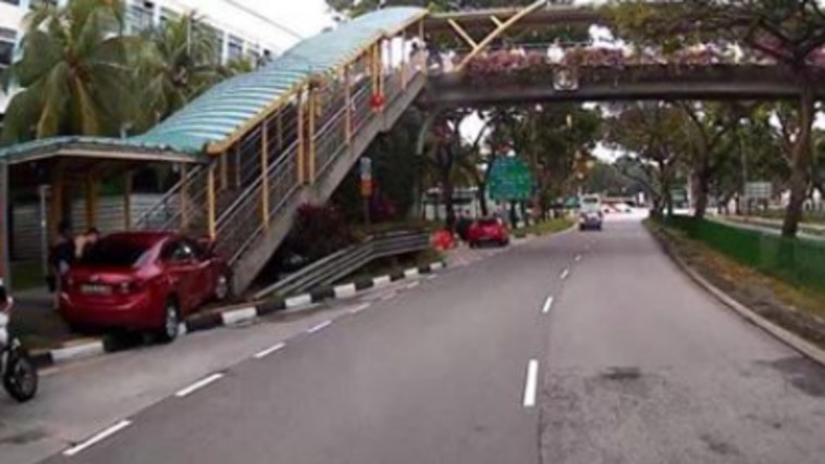 עברה תאונה בגלל ג'וק מבחיל. צילום: פייסבוק