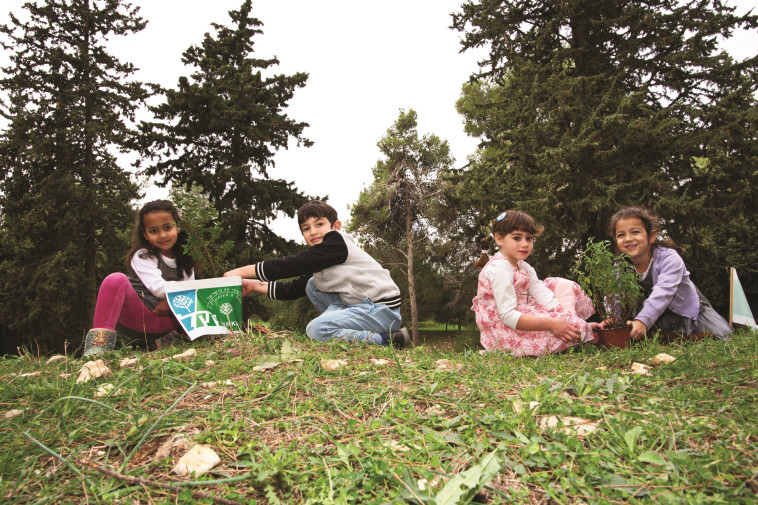 צילום: אבי הירשפלד