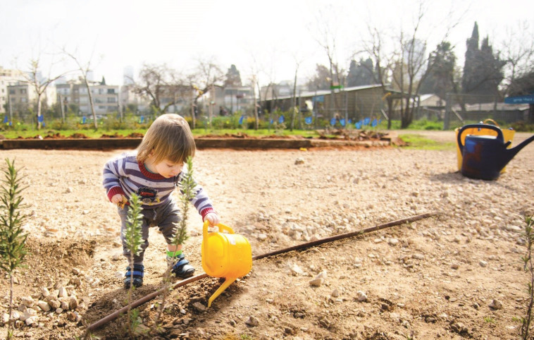 ט&quot;ו בשבט בחווה החקלאית בת&quot;א. צילום: שיר כהן