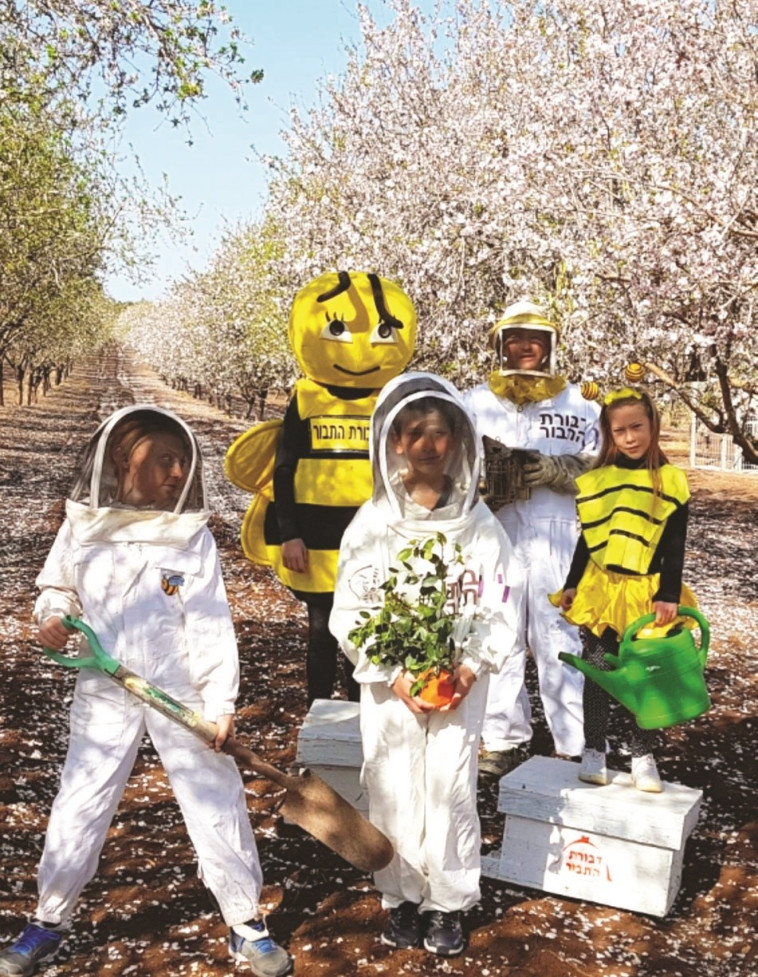 דבוראים. צילום: רשות הטבע והגנים