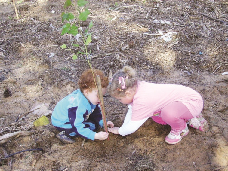 נטיעות בנתניה. צילום: דוברות עיריית נתניה