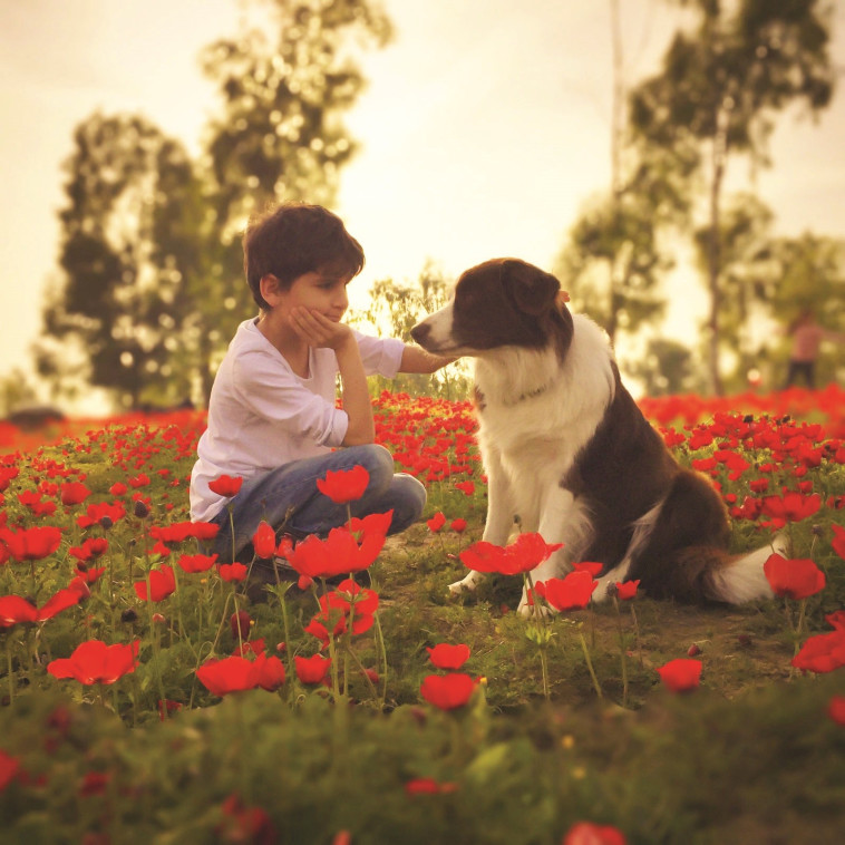 פסטיבל 'דרום אדום'. צילום: קובי רפאלי