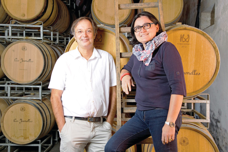 קתרין ולורן דילייני. צילום: יח&quot;צ