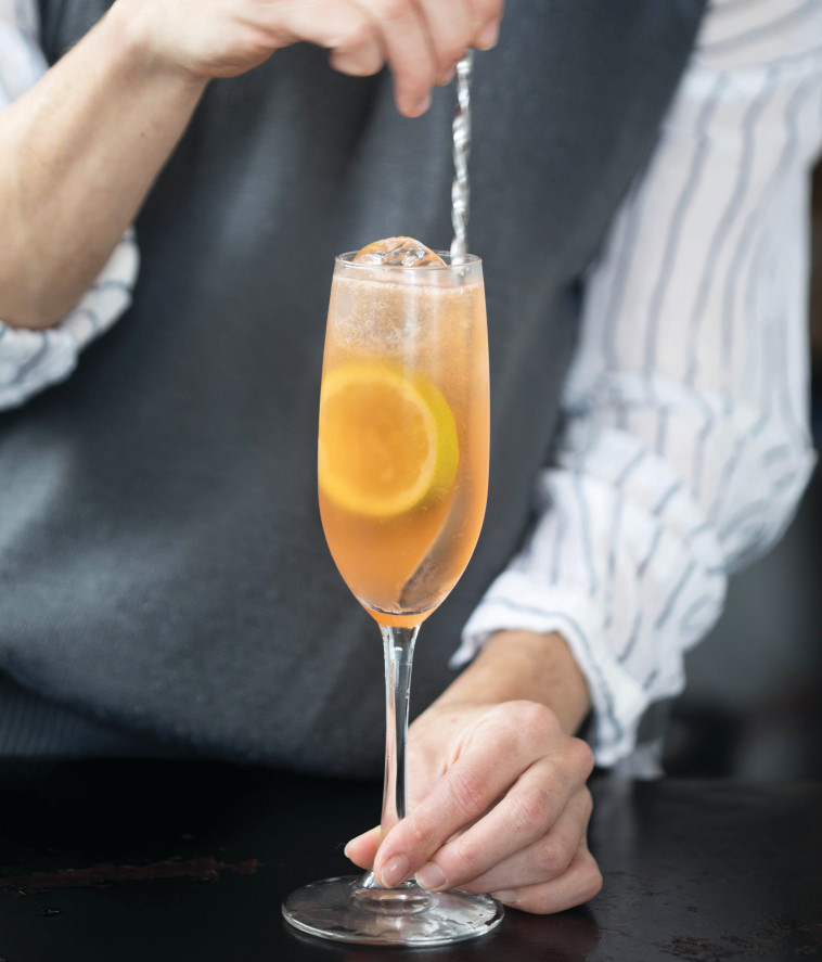 גאפה פיז. צילום: יח&quot;צ