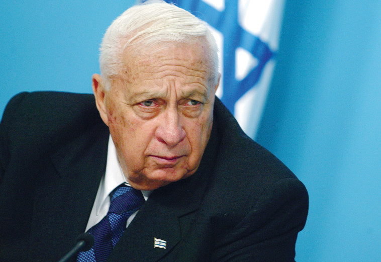 שרון. צילום: פלאש 90 שרון. צילום: פלאש 90