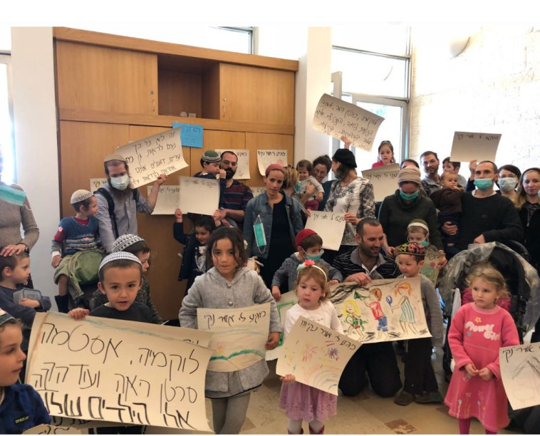 מוחים בגן. צילום: ללא