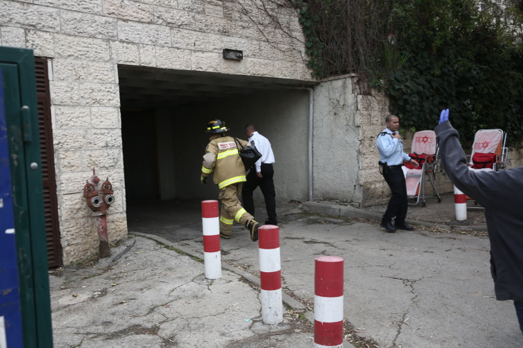 צילום: הלל מאיר/TPS 