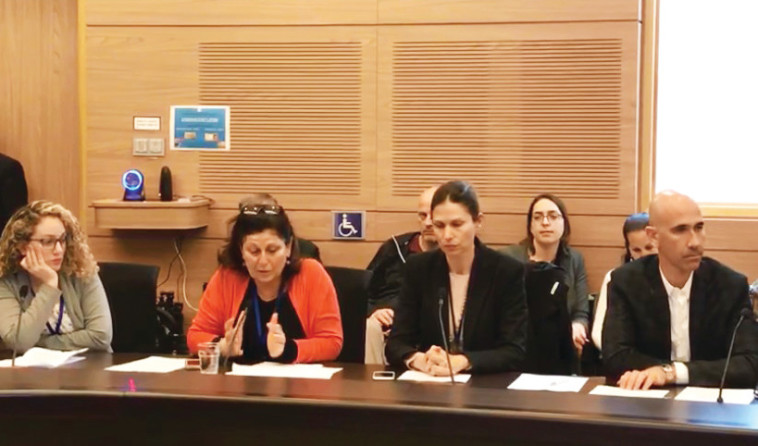 אפל בוועדת העבודה, הרווחה והבריאות של הכנסת. צילום: באדיבות עמותת מרכז טל