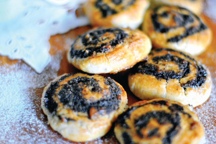 שבלולים. צילום: פסקל פרץ רובין