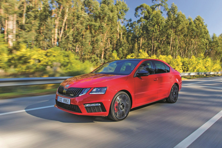 צילום: יח&quot;צ