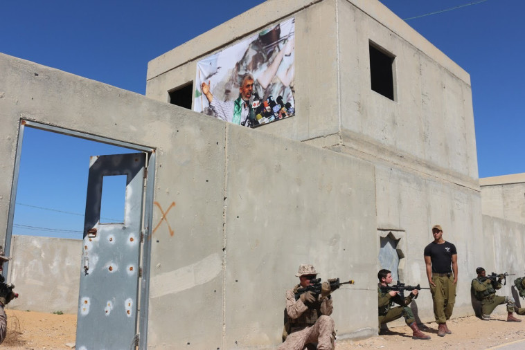 צילום: Anna Ahronheim