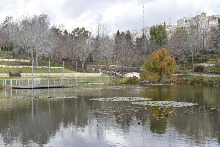 הגן הבוטני. צילום: מיטל שרעבי 