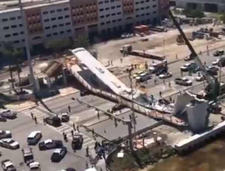 צילום: צילום מסך