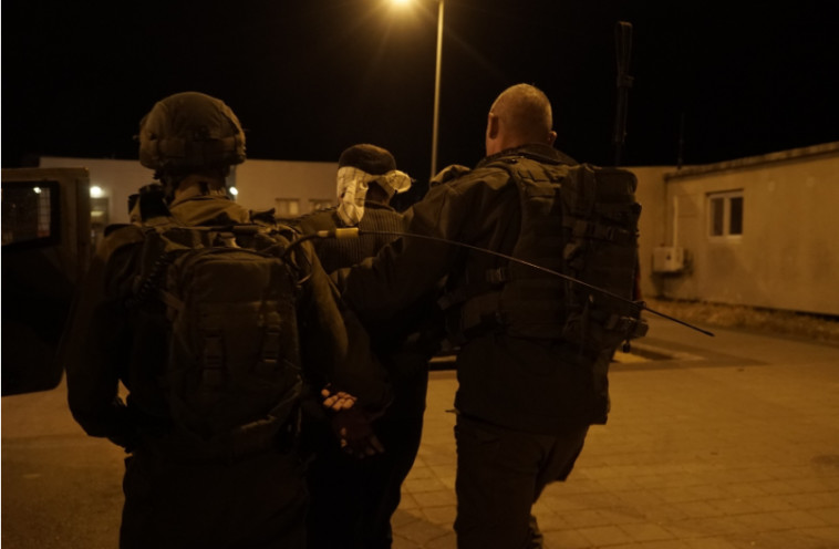 צילום: דו&quot;צ