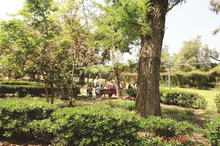 סיורים וסדנאות. הגן הבוטני  במקווה ישראל. צילום: אביגיל הלר