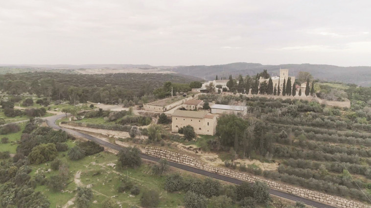 שני האירועים התרחשו בסמיכות, באותו תא שטח, וכללו תקיפה של נשים