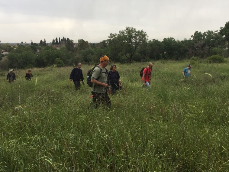 החיפושים אחרי נורית טבע, היום